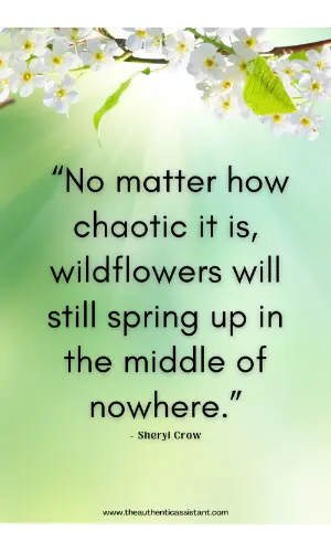 No matter how chaotic it is, wildflowers will still spring up in the middle of nowhere. A collection of inspirational Spring Quotes